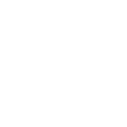 Flash Menú